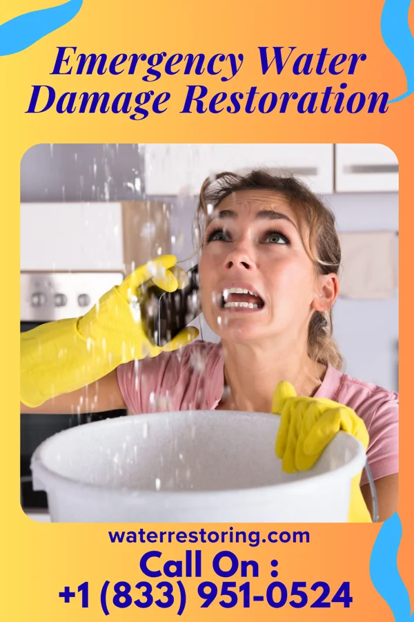 Emergency Water Damage Restoration in Martin, LA