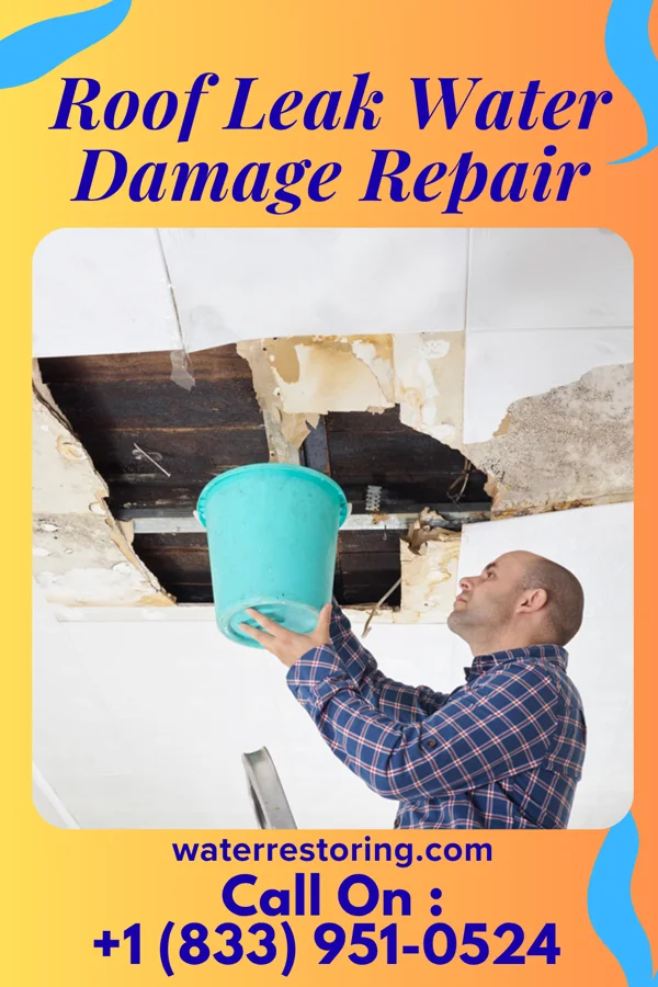 Roof Leak Water Damage Repair in Martin, LA